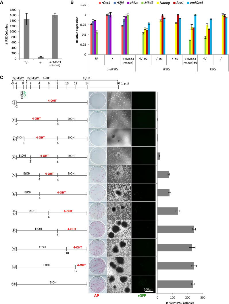 Figure 2