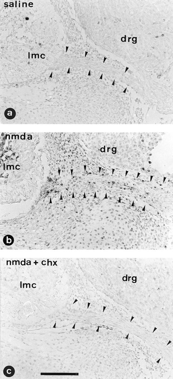 Fig. 9.