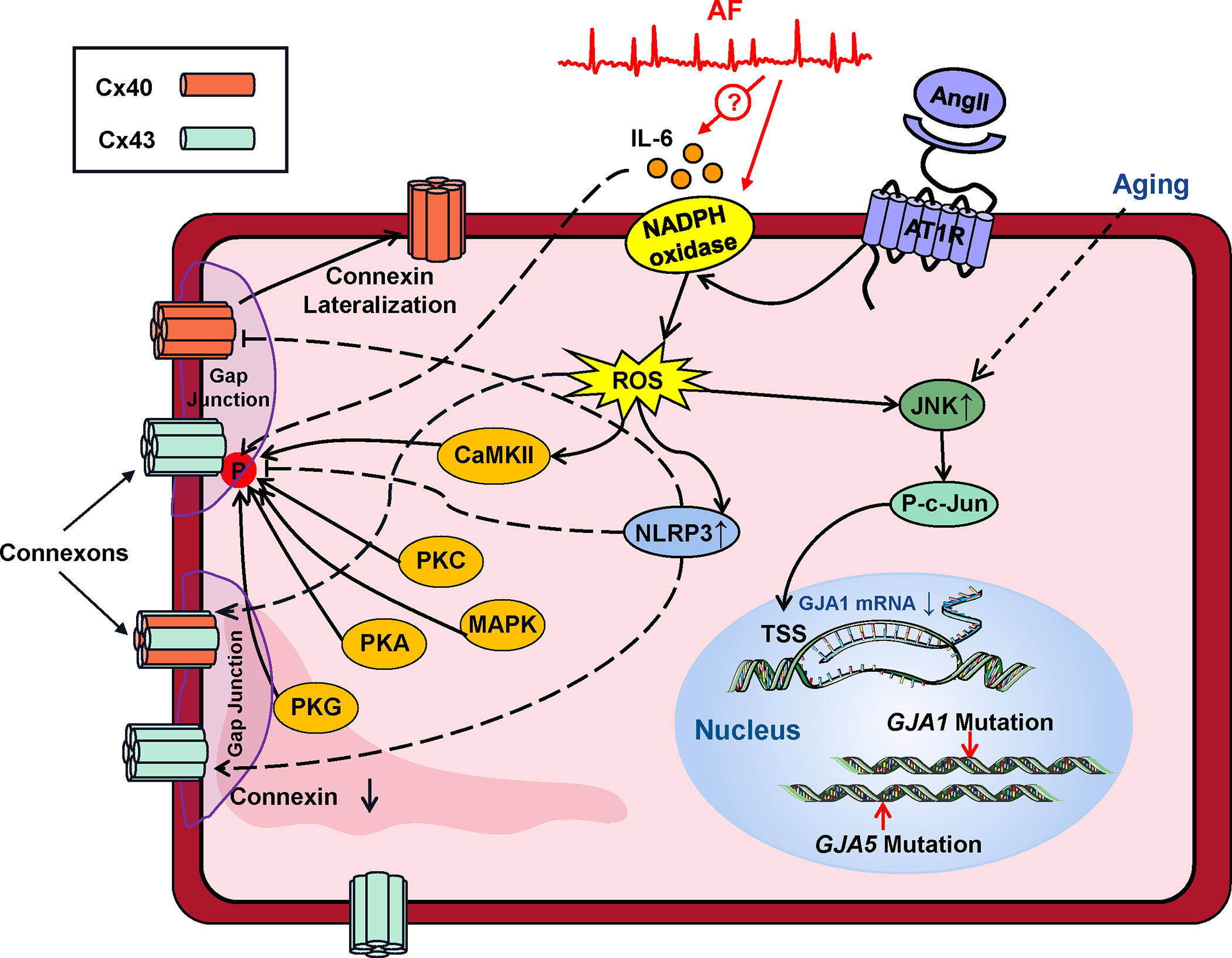 Figure 4.