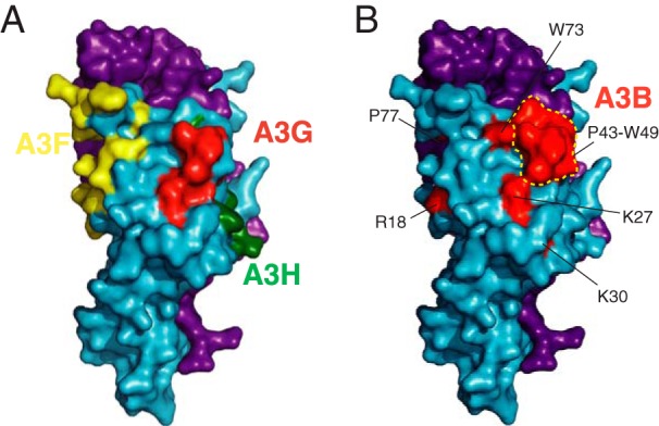 FIG 5