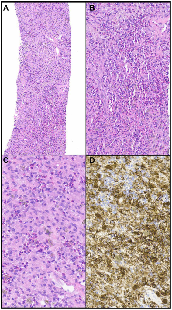 Figure 6