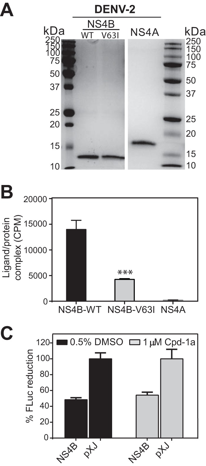 FIG 6