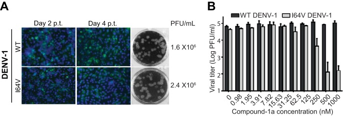 FIG 4