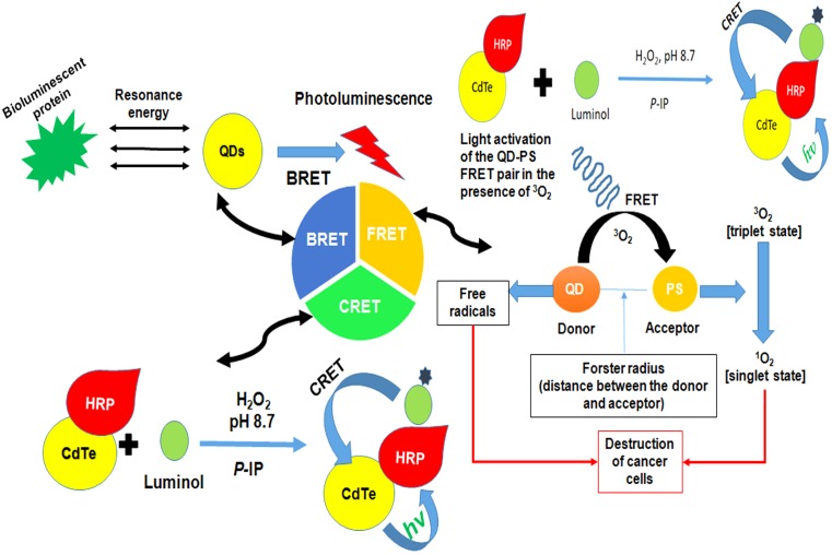 FIGURE 6