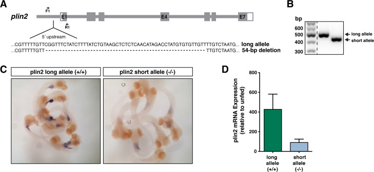 Figure 1—figure supplement 1.