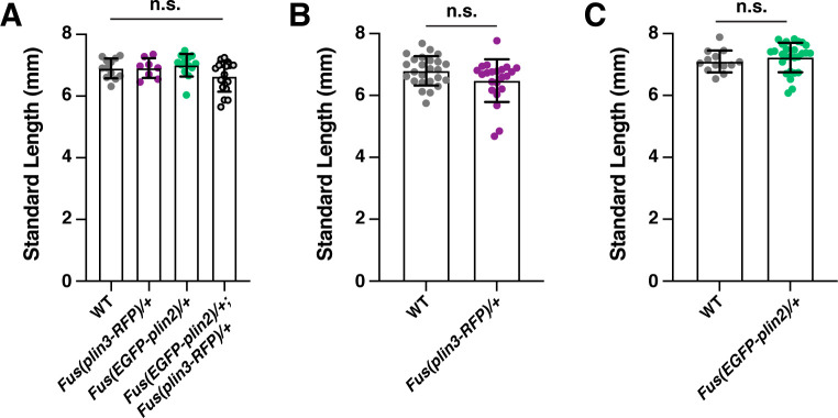 Figure 6—figure supplement 1.