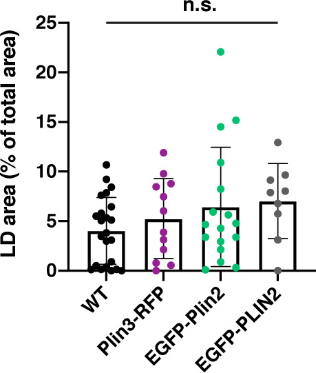 Figure 4—figure supplement 2.