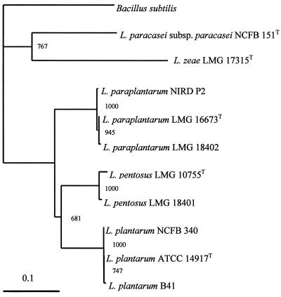 FIG. 1