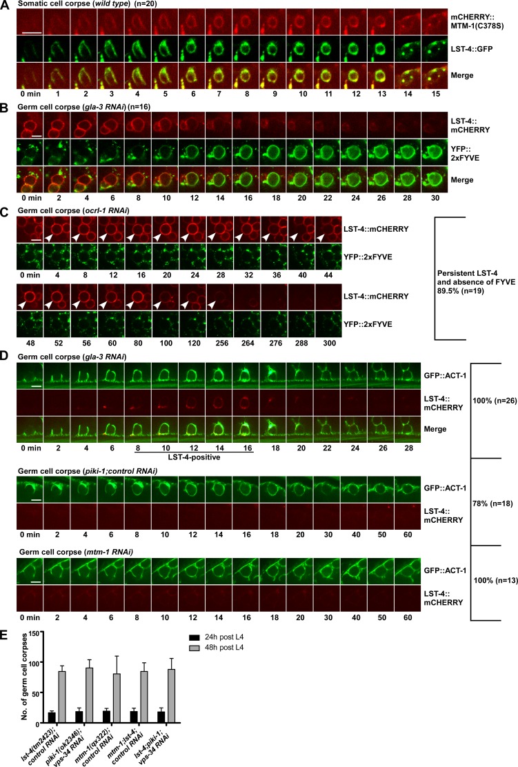 Figure 6.