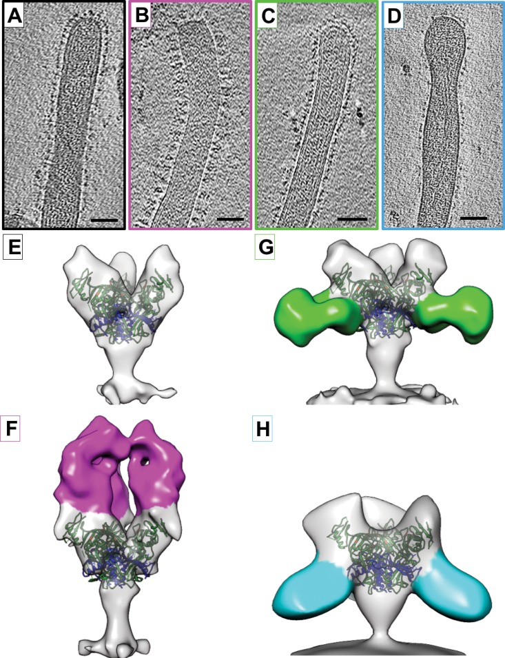 FIG 1