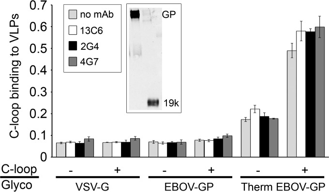 FIG 6