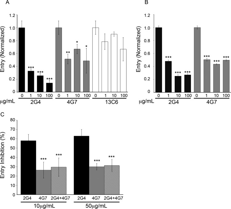 FIG 3