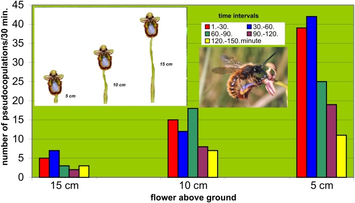 Fig. 3