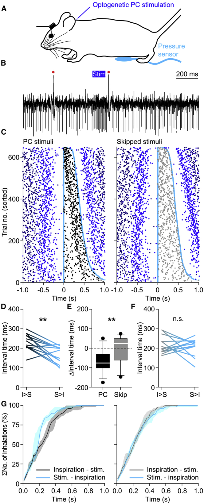 Figure 6