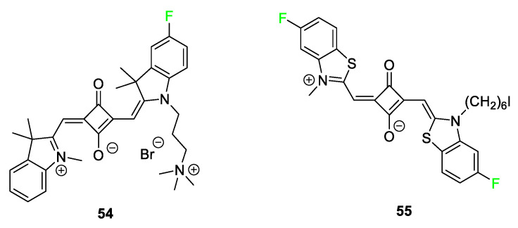 Figure 22