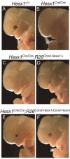 Fig. 6