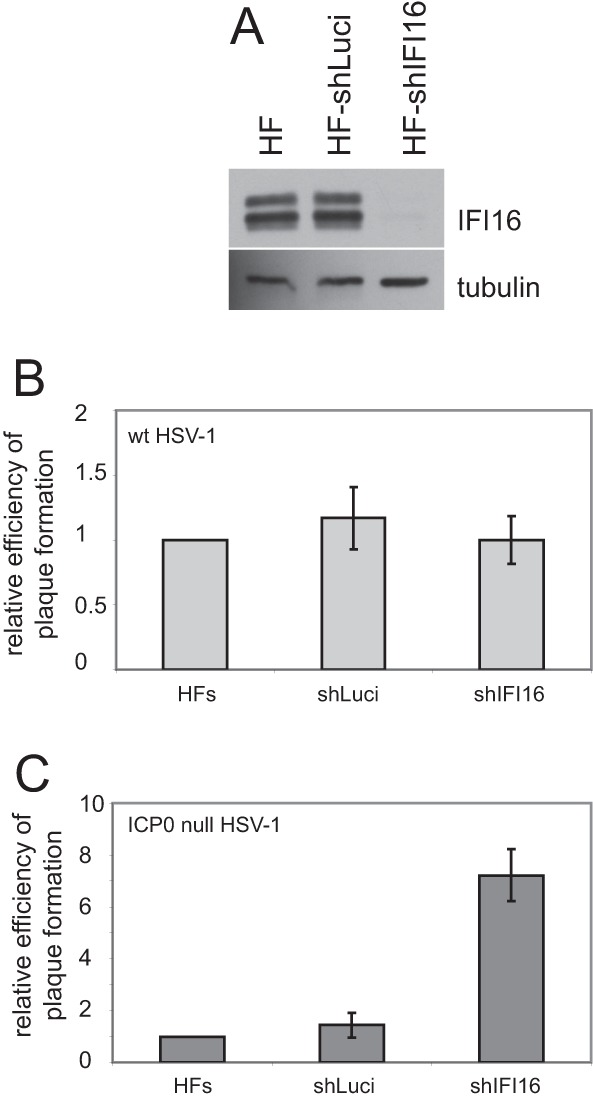 Fig 8