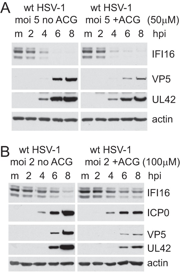 Fig 5