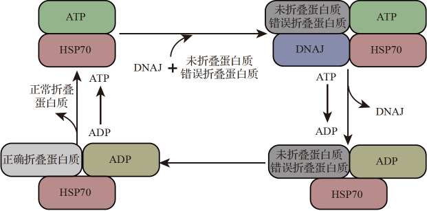 图 1