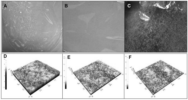 Fig. 3