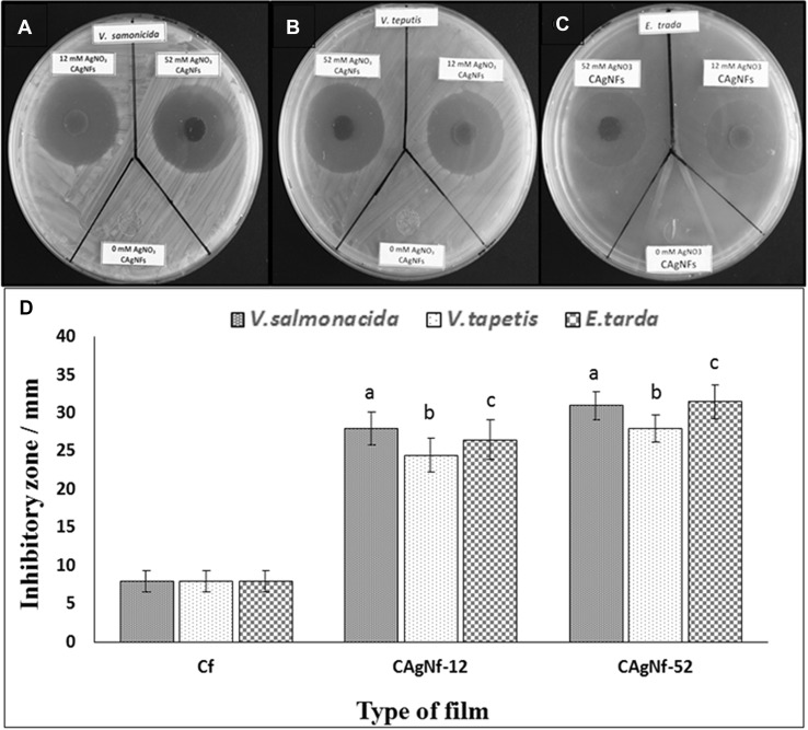 Fig. 5