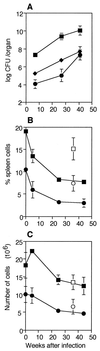 FIG. 1.