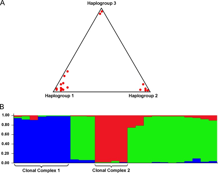 FIG 2