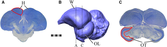 FIGURE 2