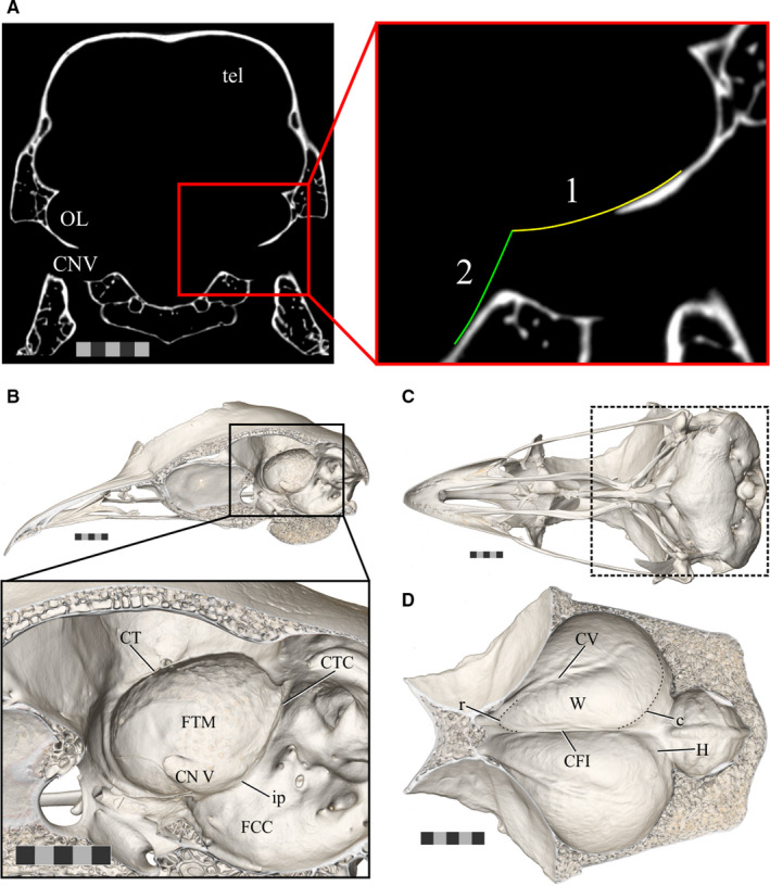 FIGURE 3