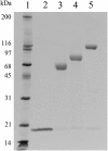 <b>FIG. 3.</b>