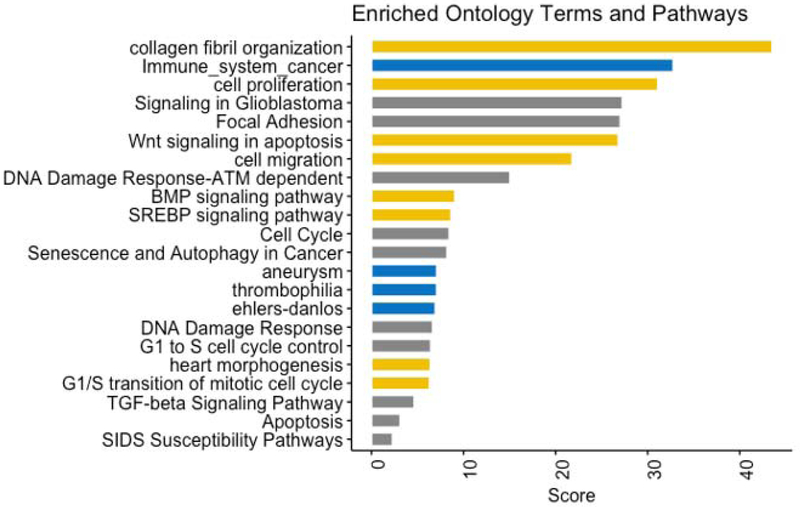 Figure 4: