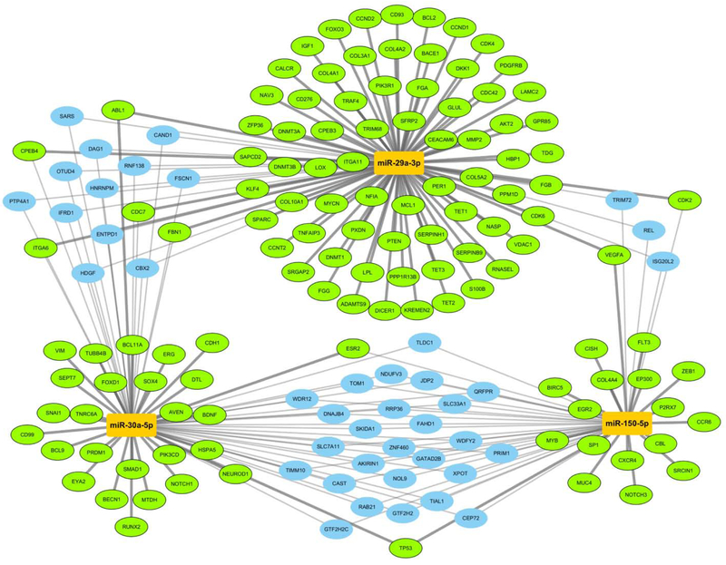 Figure 3: