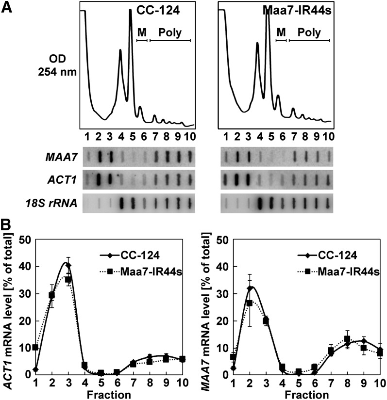 Figure 5.