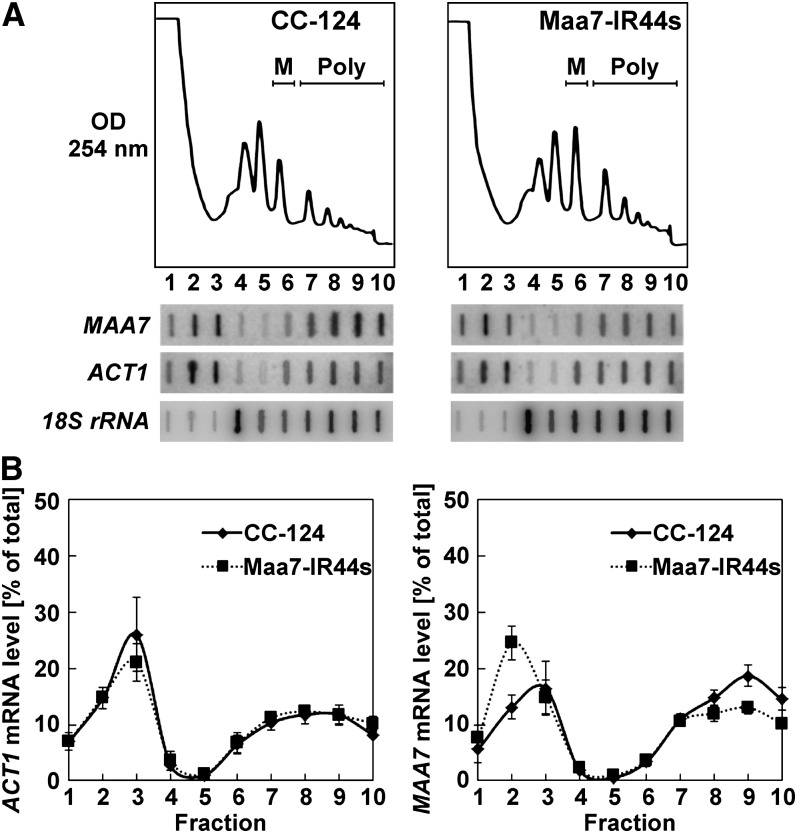 Figure 6.