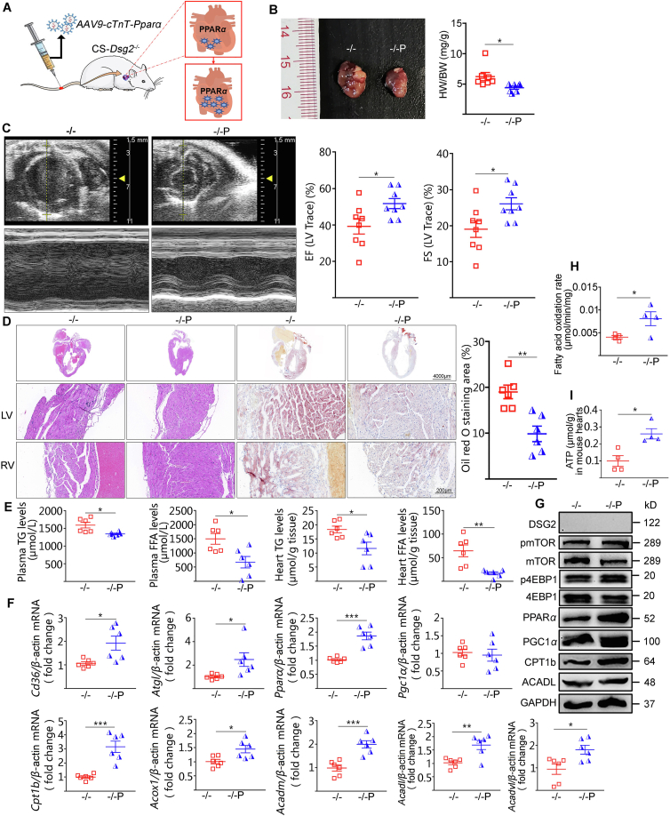 Figure 6