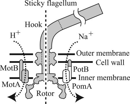 Fig. 1.