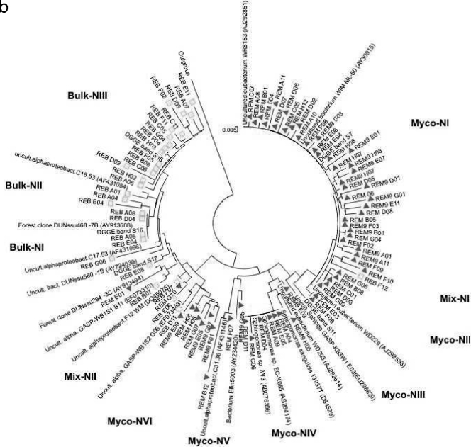 FIG. 5.