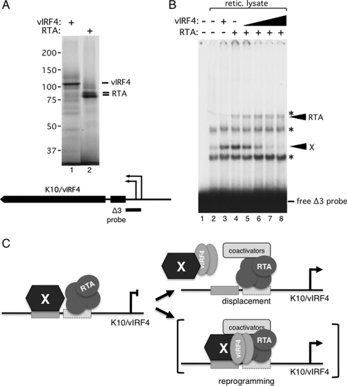 Fig 9