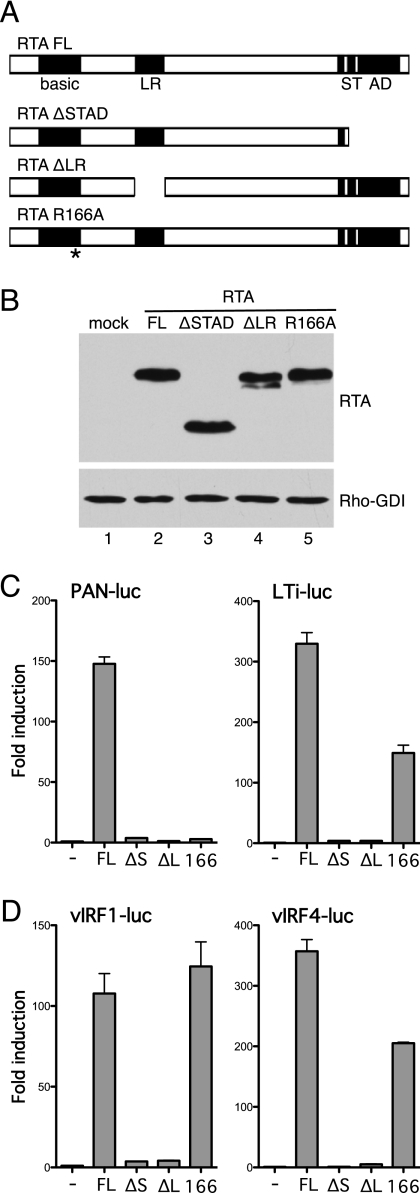 Fig 8