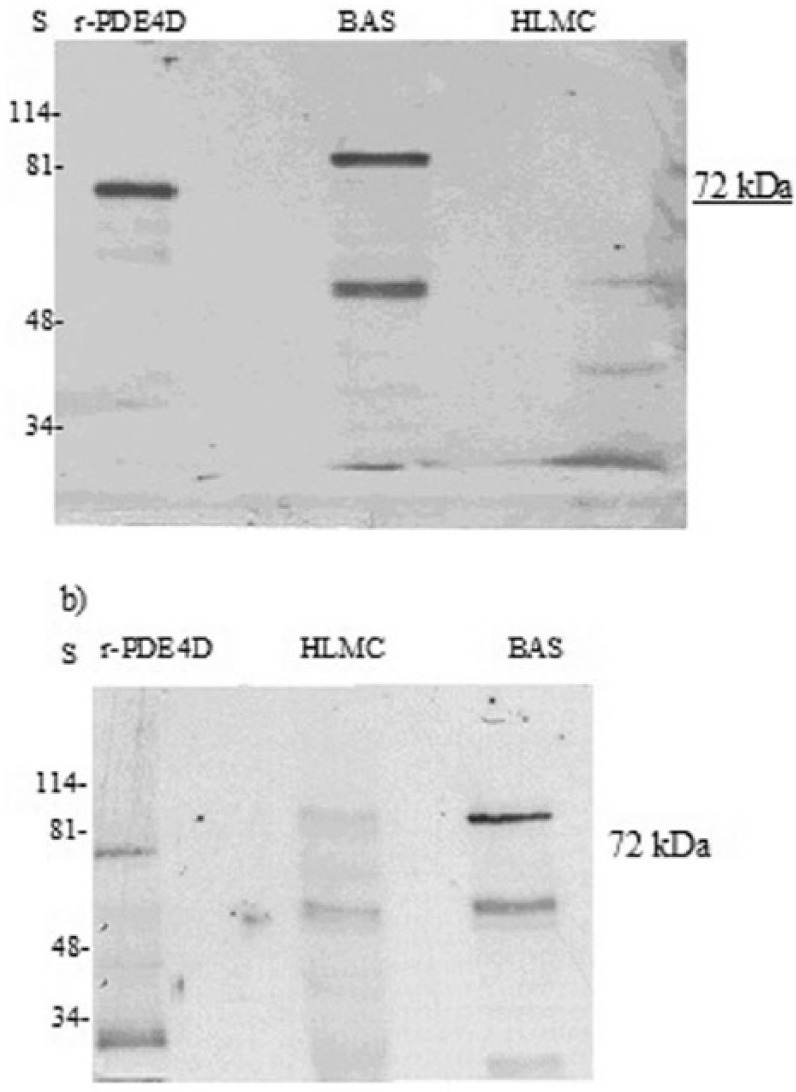 Figure 10.