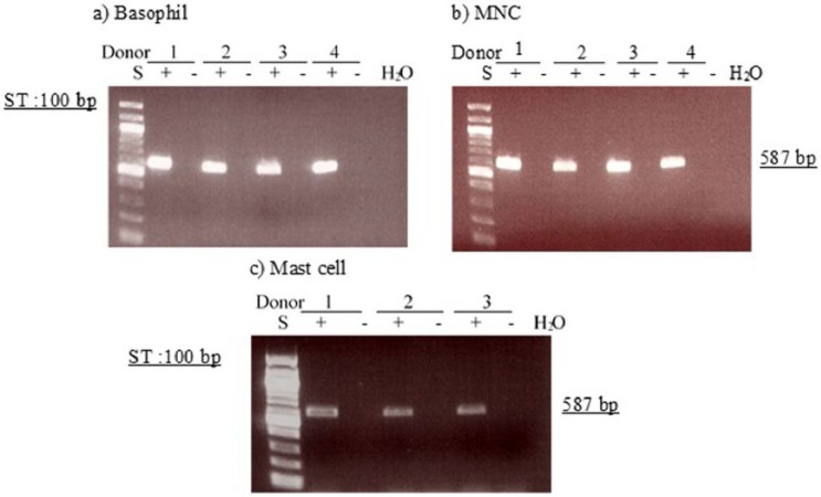 Figure 15.