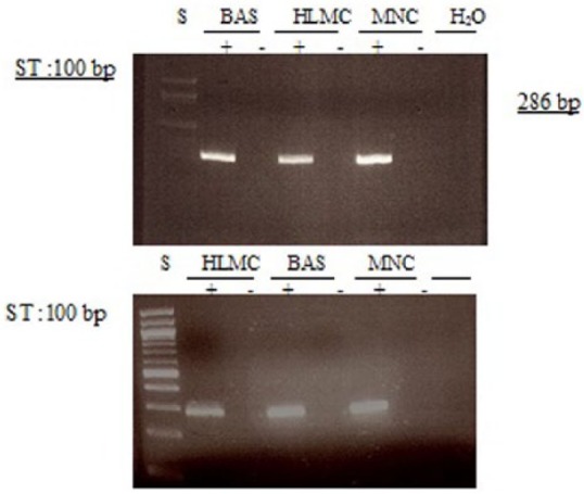 Figure 13.