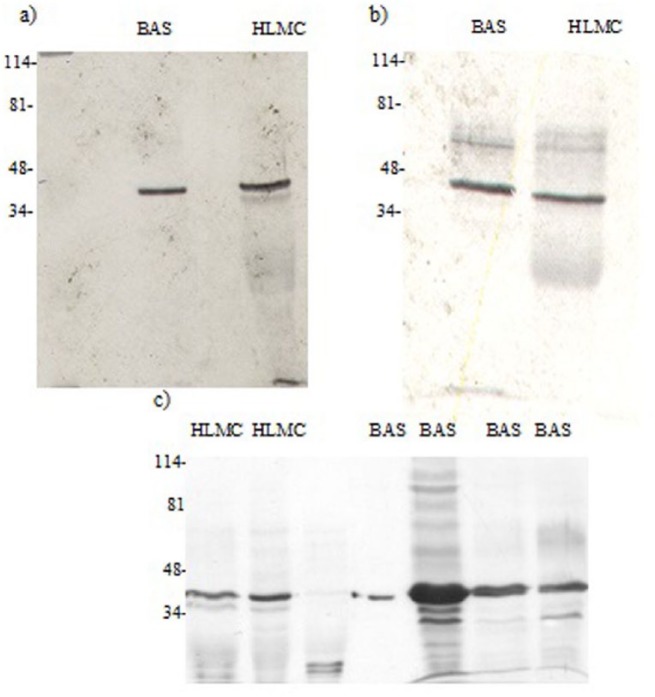 Figure 16.