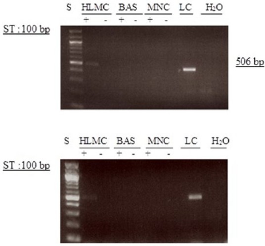 Figure 11.