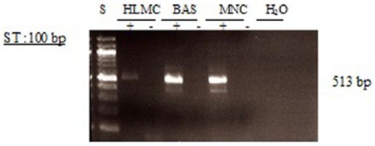 Figure 7.