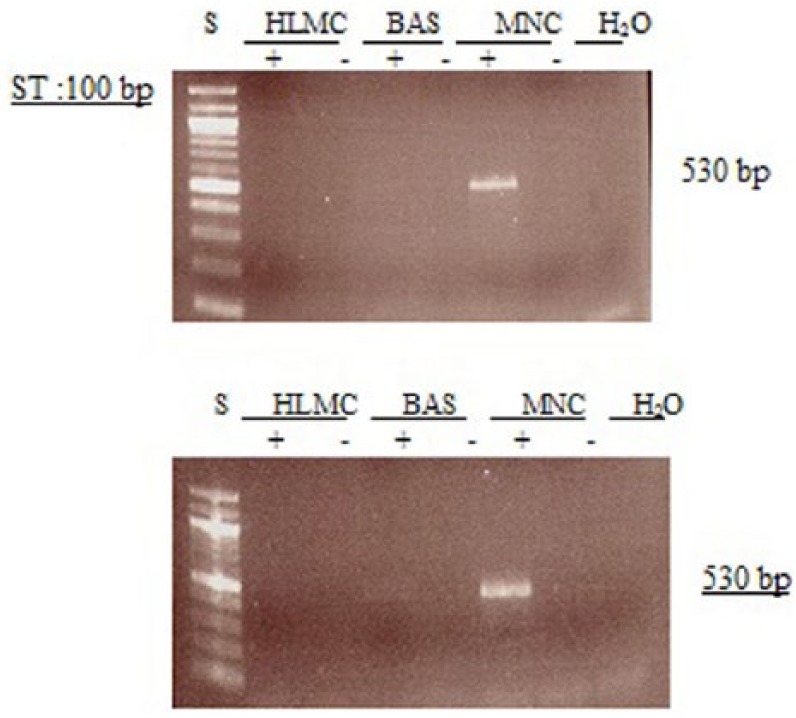 Figure 9.