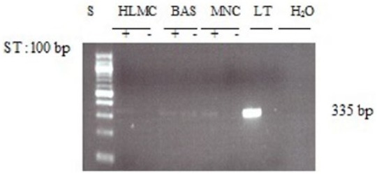 Figure 5.