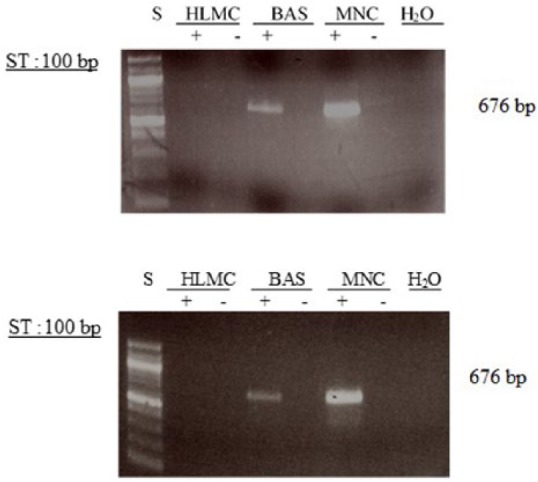 Figure 12.