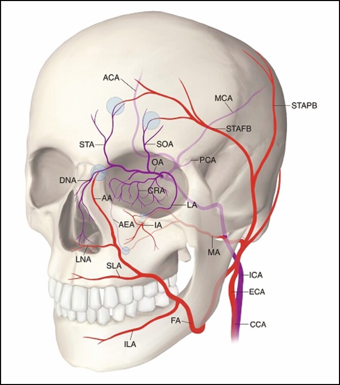 Figure 9.