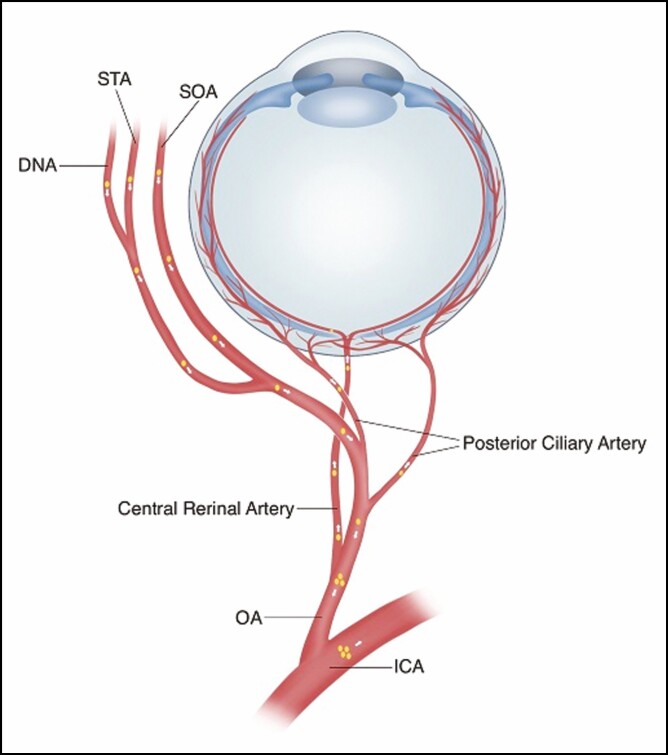 Figure 10.